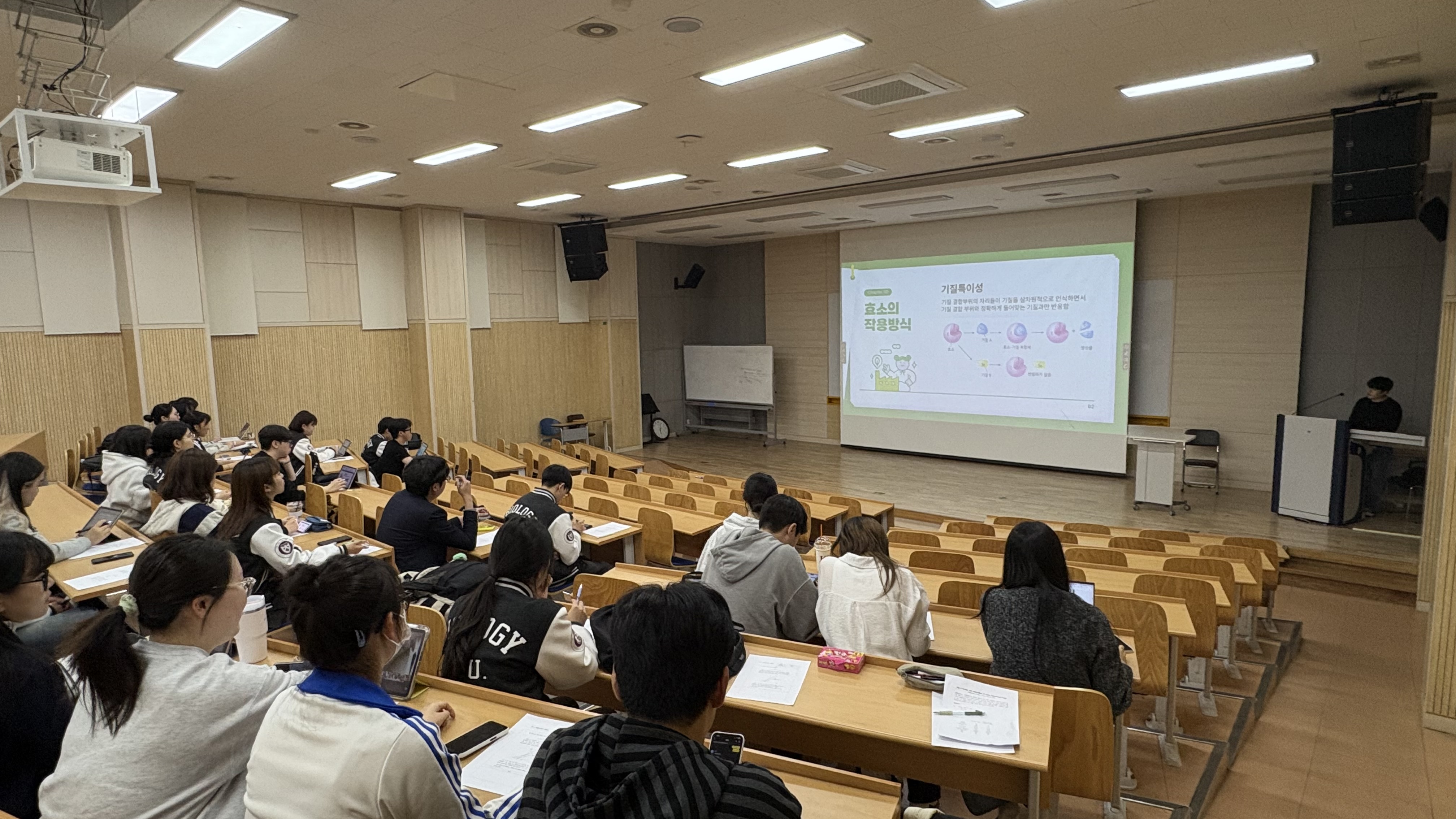 2025 1학기 세미나 5주차  이미지