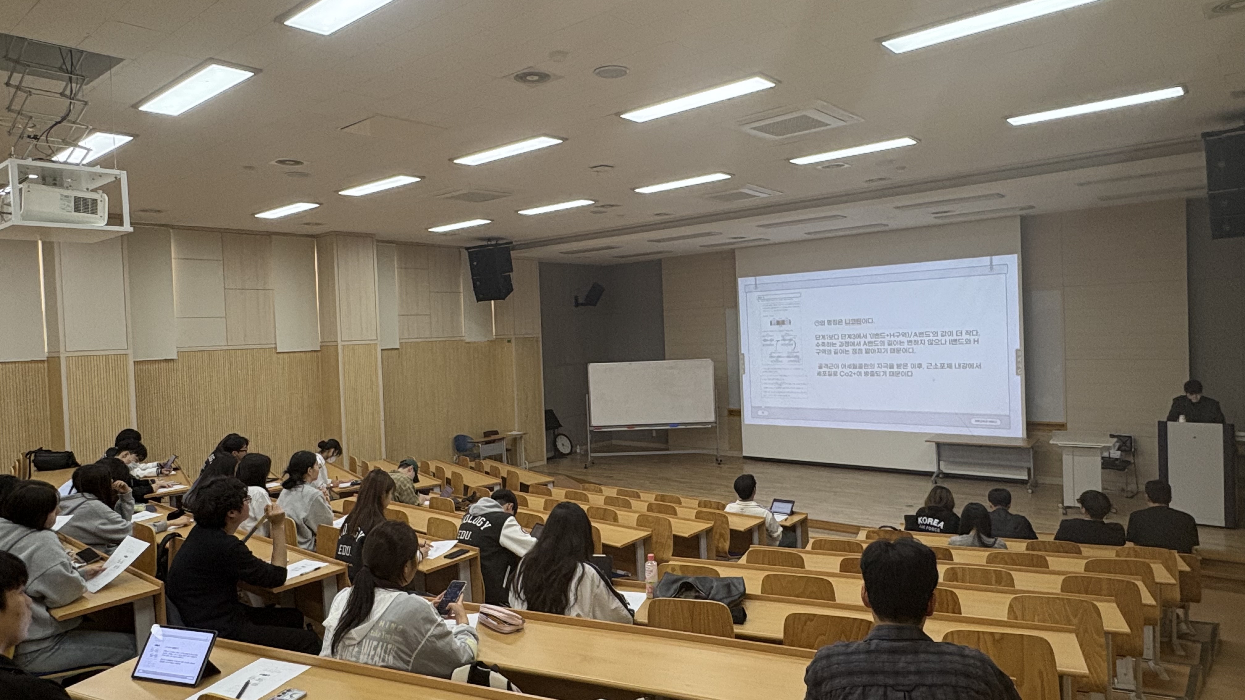2025 1학기 세미나 6주차  이미지