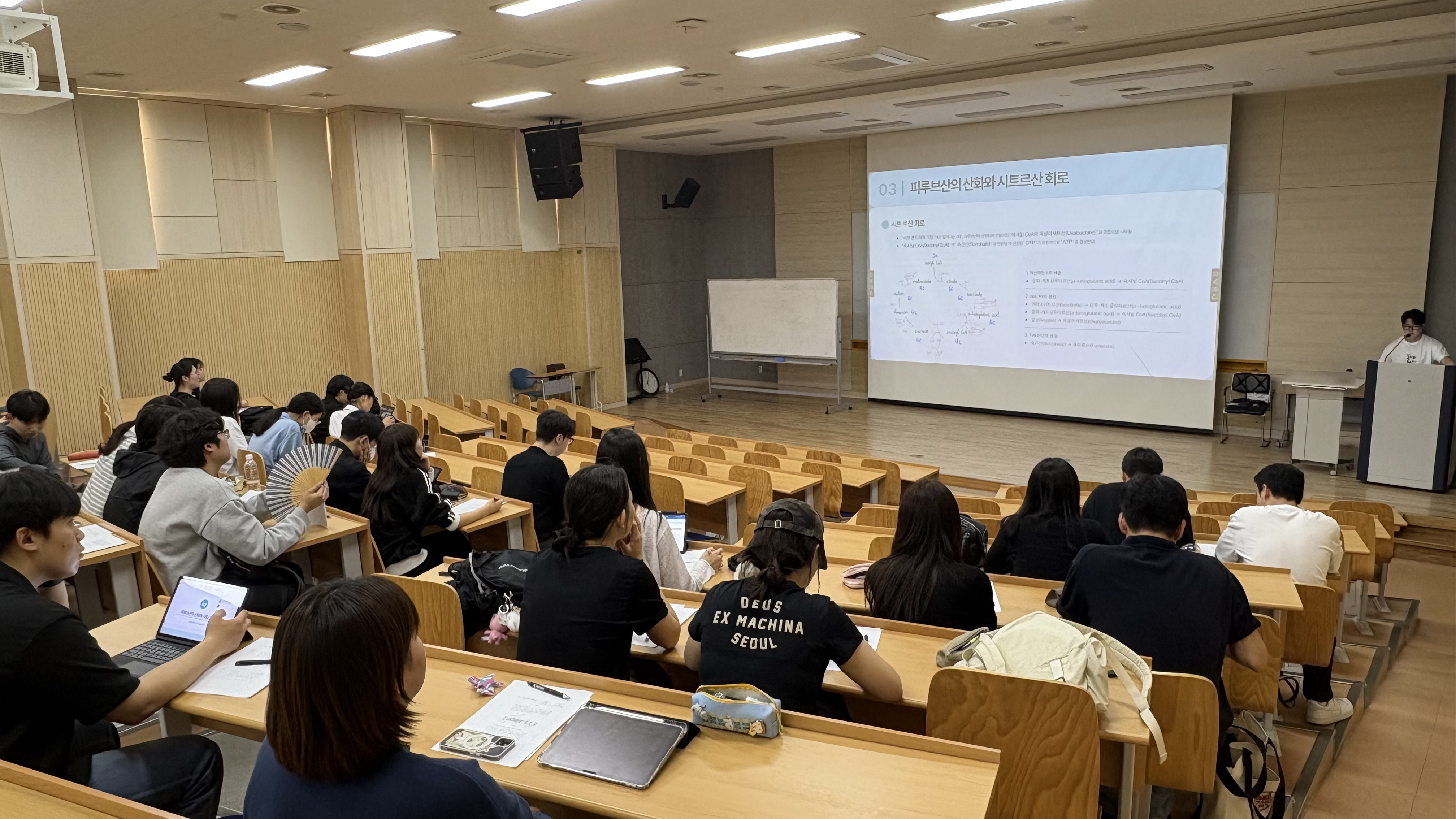 2025 1학기 세미나 7주차  이미지