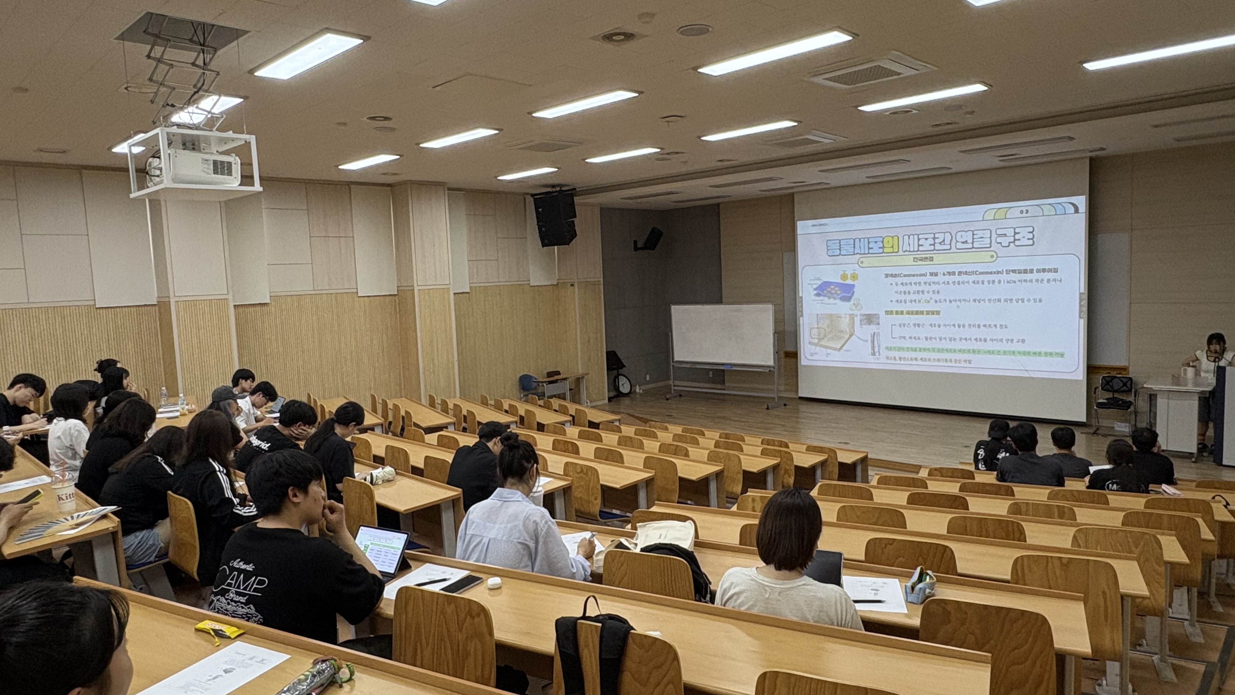 2025 1학기 세미나 8주차  이미지